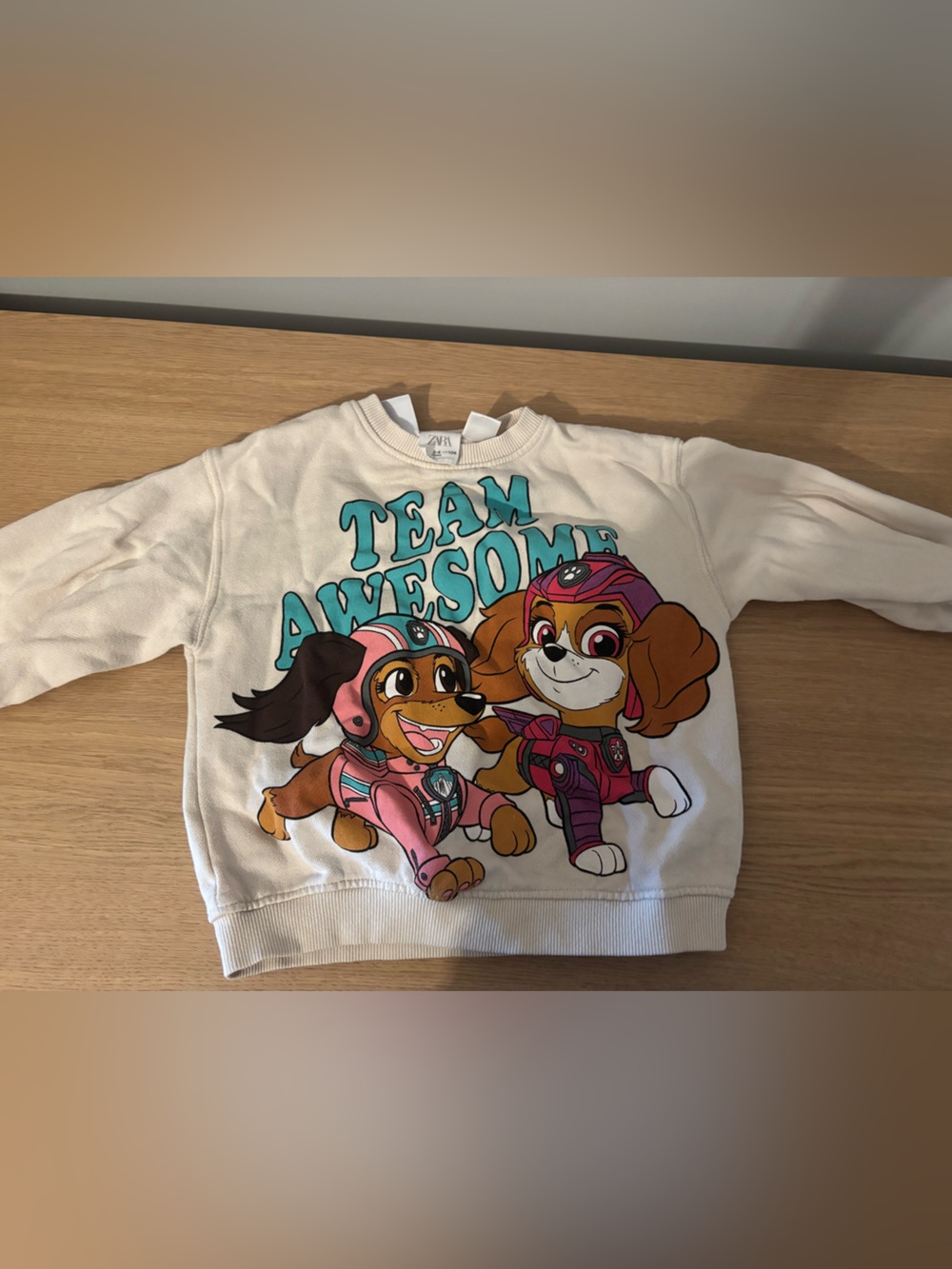 Paw Patrol "Team Awesome" Sweatshirt 3-4T ZARA